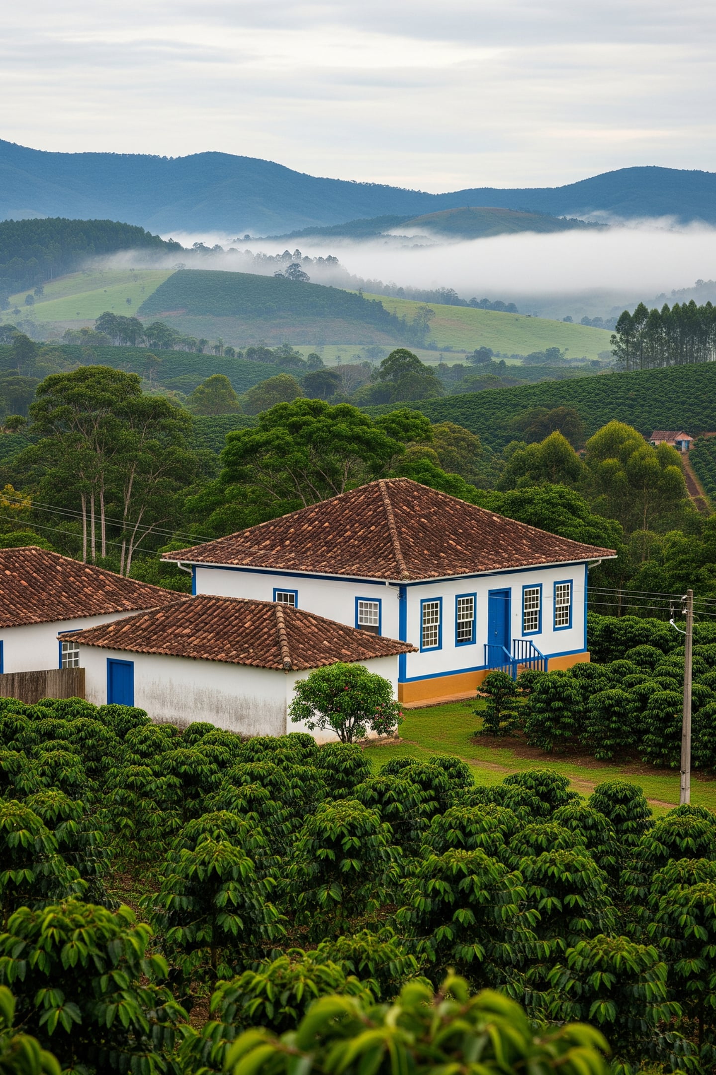 Paisagem ilustrativa com casarão branco, janelas azuis, cafezais e colinas sob neblina